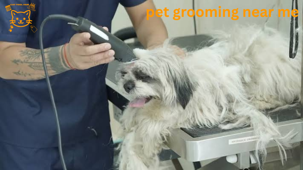 pet grooming near me